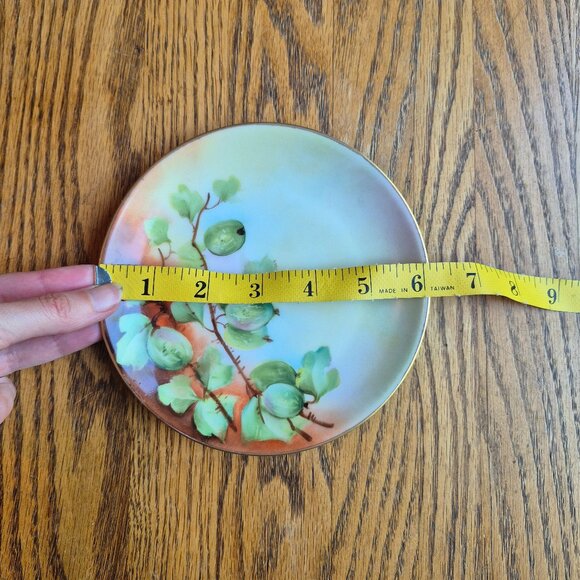 Hutchenreuther Selb Bavaria Handpainted Gold Trimmed Plate Cottagecore - Picture 6 of 13